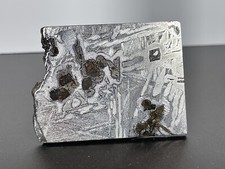 Meteorit Seymchan Pallasite Platte poliert + ROH Fläche Kruste Meteorite