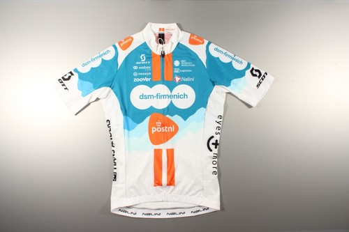 Nalini dsm firmenich - nalini,