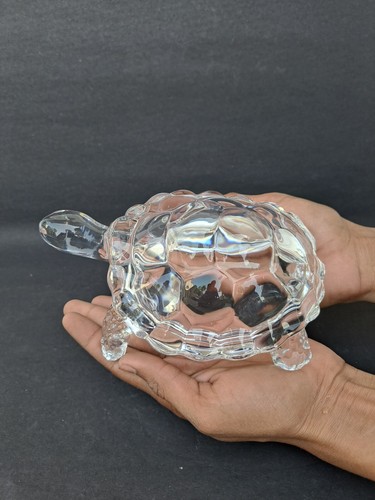 Kristall turtle schildkröte - kristall,