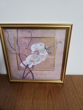 Tolles Bild Orchidee