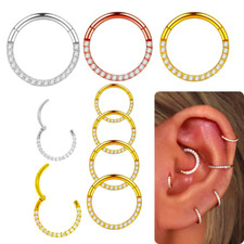 Piercing Titan Segment Ring Nasenpiercing Septum Clicker Ohrpiercing Nasenring