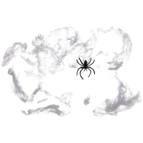 Spinnen netz halloween - im,