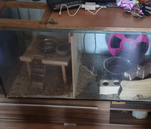 Nagarium aus glas - aus, 2