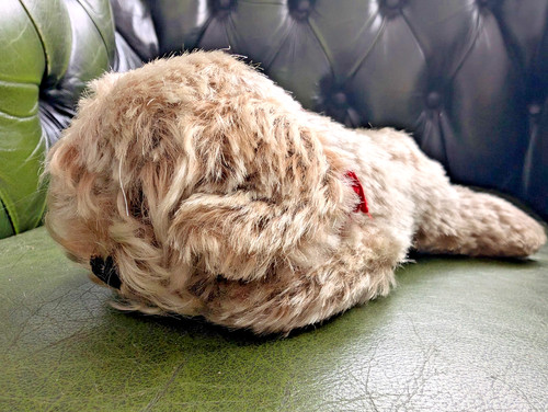 Steiff floppy hund raudi - steiff,