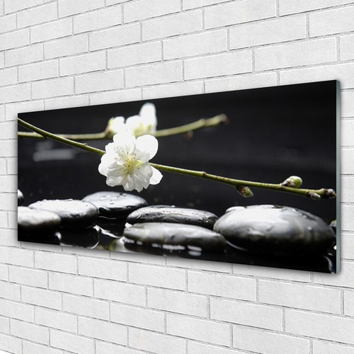 Acrylglasbilder wandbilder - acrylglasbilder,