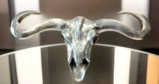 Wandfigur xxl stierkopf bulle - wandfigur,
