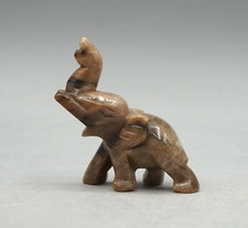 Wunderschöner Elefant