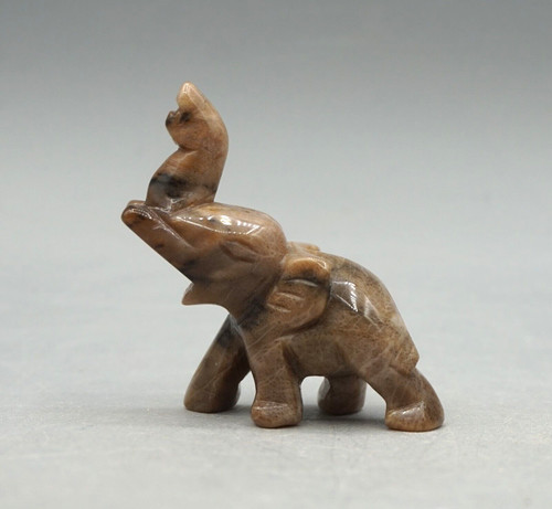 Wunderschöner elefant - wunderschöner,