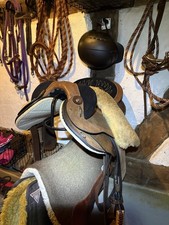 Halfbreed SydHill & Sons