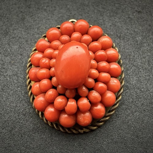 Brosche anhänger koralle - brosche,