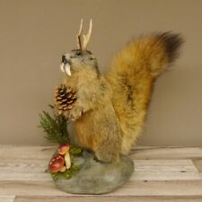 Wolpertinger Murmeltier