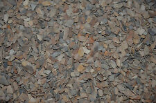 (EUR 1,49 / kg) OSTREA