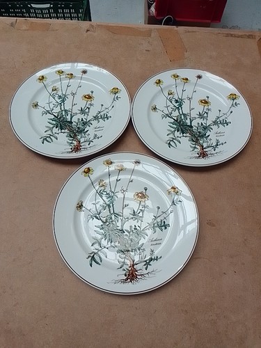 Villeroy und boch botanica - boch, 3