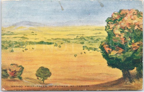 Tabora künstlerische - tabora,