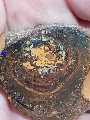 Opal koroit boulder - 73, aus