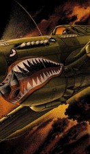 Blechschild Flugzeug Luftfahrt