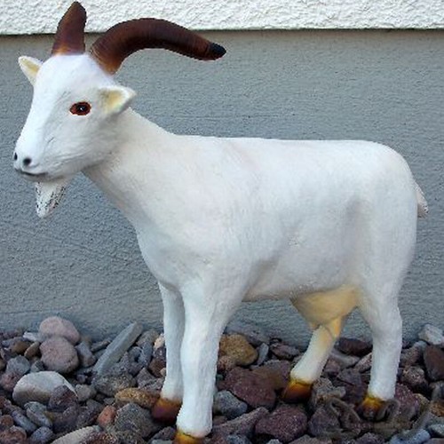 Deko ziege weiß - deko,