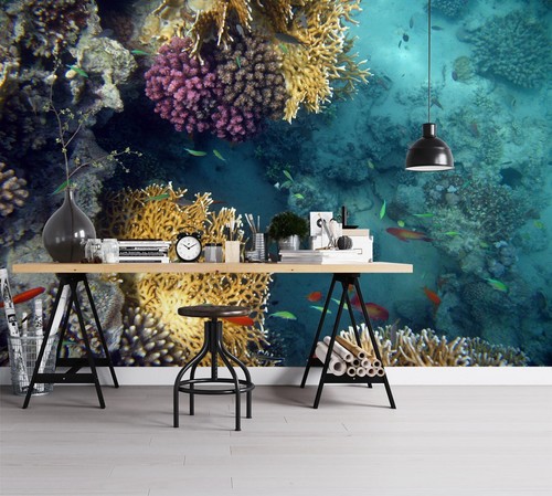 Ozean fisch q2845 - ozean,
