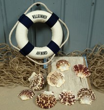 Deko Fischernetz 1x2m beige, Rettungsring b/w, 8 Muscheln maritime Dekoration