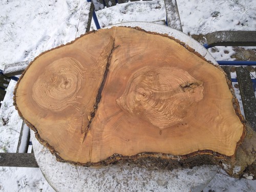 Baumscheibe tischplatte esche - tischplatte,