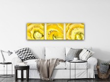 Acryl Pouring Bild Fluid Art USA 3 teilig Leinwand Keilrahmen Deko modern abstra