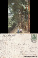 Tiergarten-Berlin Partie aus