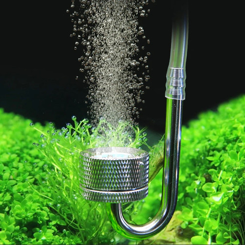 Aquarium co2 diffusor - aquarium,