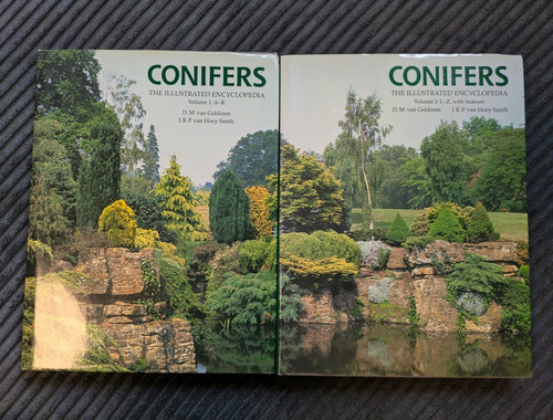 Conifers the illustrated - conifers,