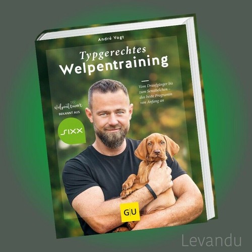 Typgerechtes welpentraining - typgerechtes, |