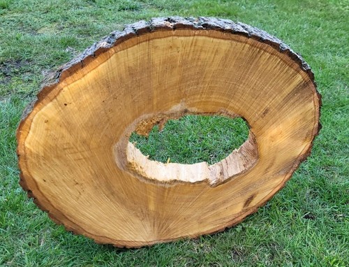 Baumscheibe von der - 🌳,
