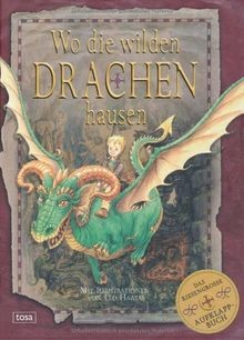 Die wilden drachen hausen - die,