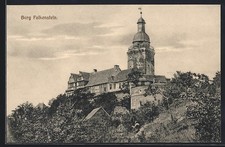 Falkenstein / Selketal, Burg