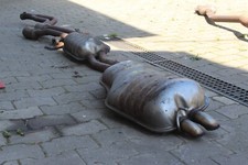 AUSPUFFANLAGE Original + BMW 3er E46 330d M57 Auspuff Katalysatoren MSD 7780095