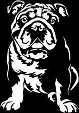 Englische bulldogge aufkleber - englische,
