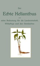 Der echte Helianthus