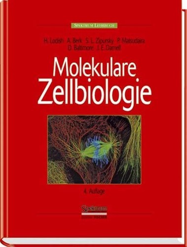 Molekulare zellbiologie buch - zellbiologie,