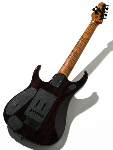 Music man john - man, petrucci
