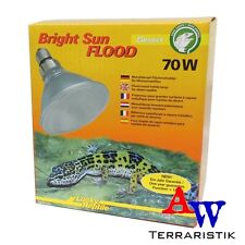 Lucky Reptile Bright Sun FLOOD