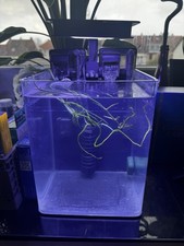Komplettset dennerle nano cube - dennerle,
