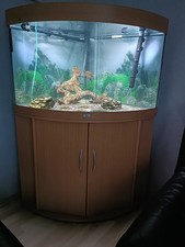Eck-Aquarium von Juwel, 190