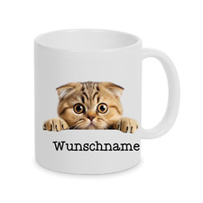 Schottische Faltohr Katze