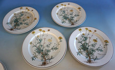 Villeroy & Boch Botanica 4