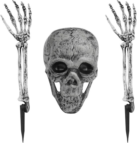 Skelett halloween - skelett,