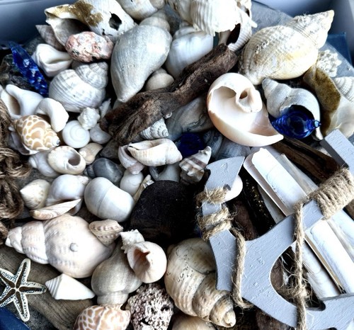Strandfunde maritime deko - strandfunde,