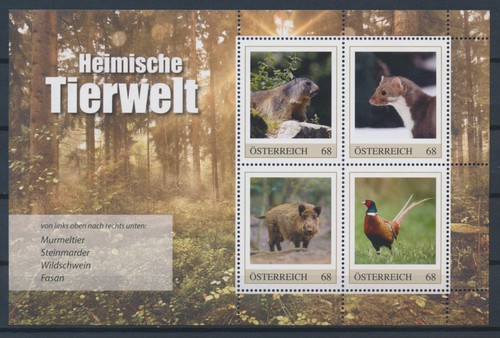 österreich murmeltier - Österreich,