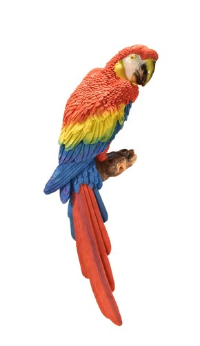 Papagei wanddeko wandbild - papagei,