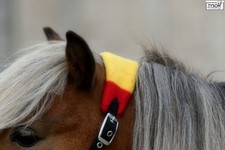 Halfter mit Fleece  Minishetty