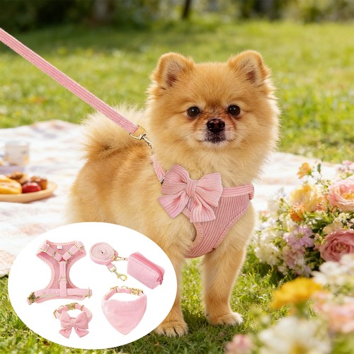 Kleines hundegeschirr halsband - hundegeschirr,