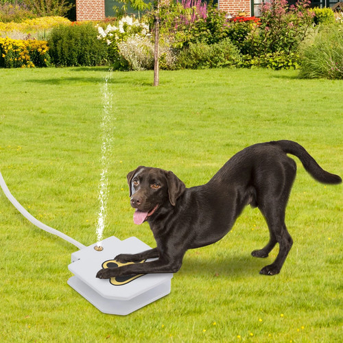 Wassersprinkler für hunde - wassersprinkler,