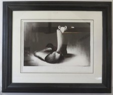 dog hyde boot camp limited